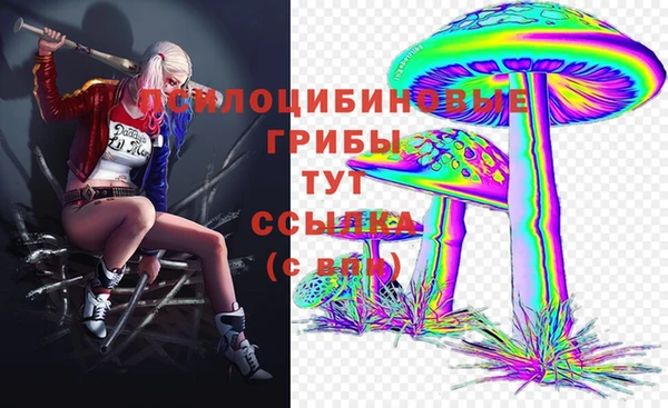 круглые Алексеевка