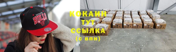 apvp Алексин