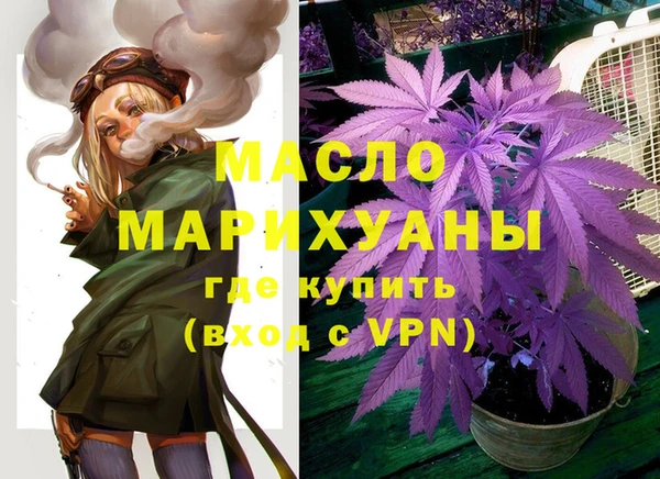 индика Алзамай