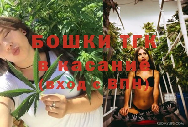 apvp Алексин