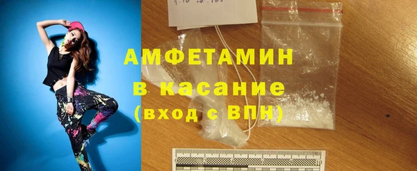 индика Алзамай