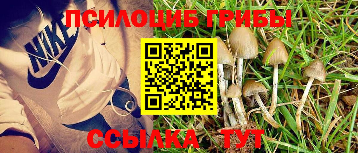 Псилоцибиновые грибы мухоморы Одинцово