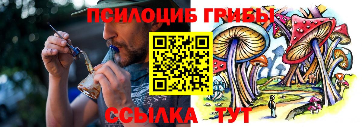 Одинцово  Псилоцибиновые грибы Psilocybine cubensis  Вход с VPN 
